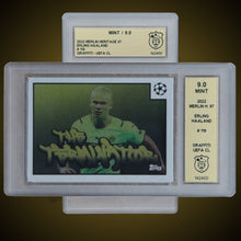 Lade das Bild in den Galerie-Viewer, C) Casetausch & Erneuern
